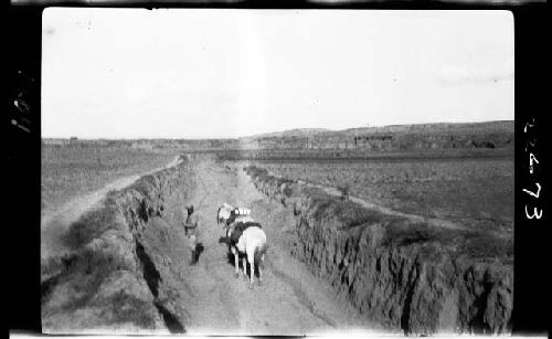 People and horses traveling on road