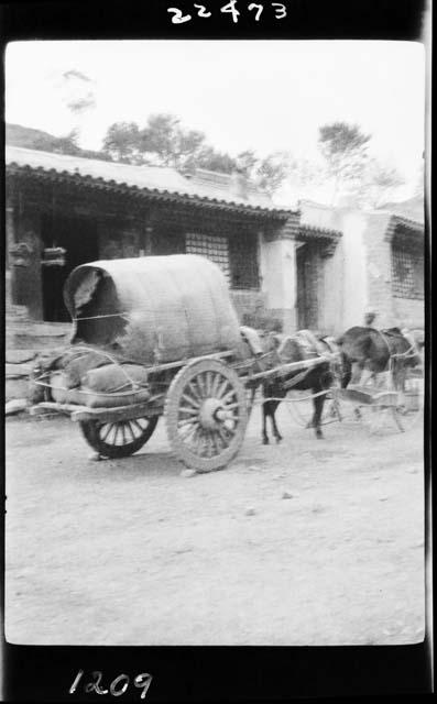 Horse and wagon