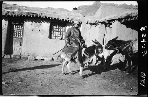 Janet Wulsin riding donkey