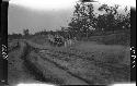 Wagon traveling down road