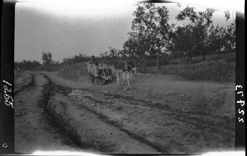 Wagon traveling down road