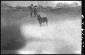 Couple and dog standing in road