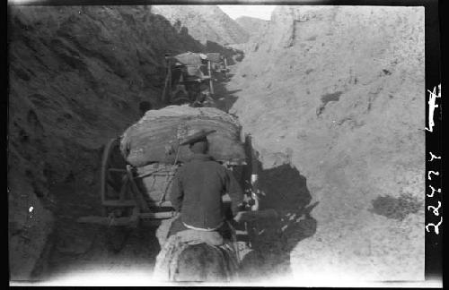 View from wagon on road