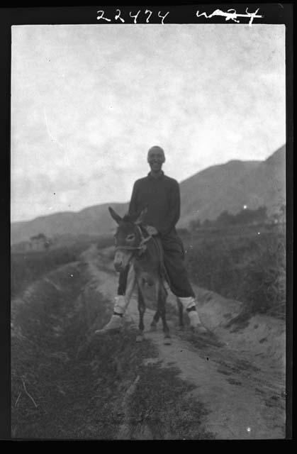 Person riding donkey