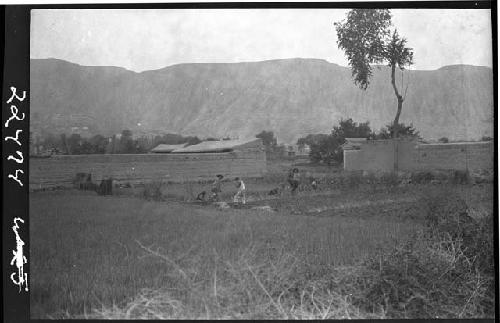 People working in field