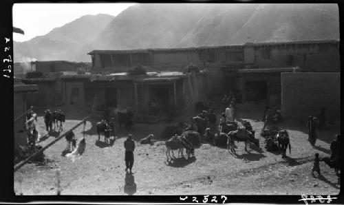 People and animals on street/in courtyard