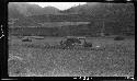 People sitting in field