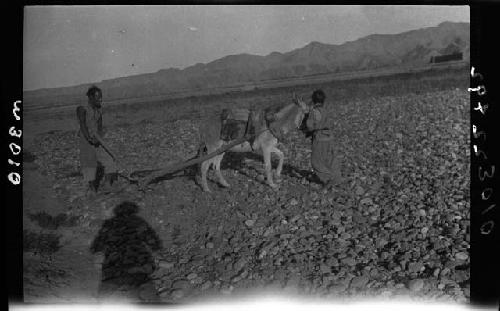 Person plowing field