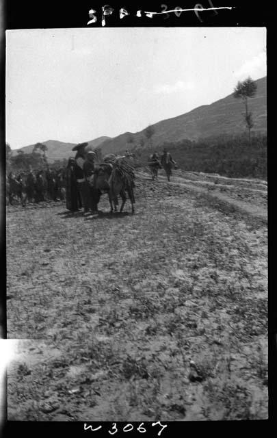 People and horses on road