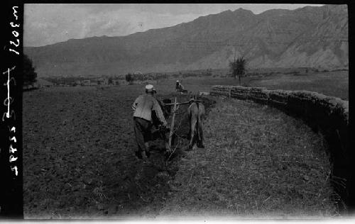 Person plowing field