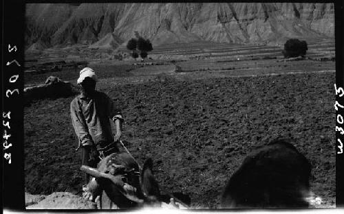 Person plowing field