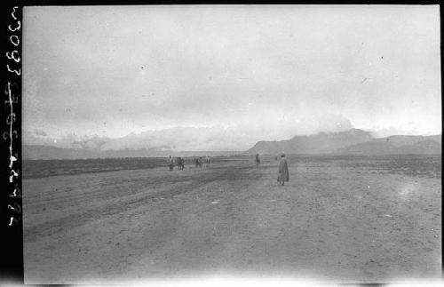 Road and field, with people at distance