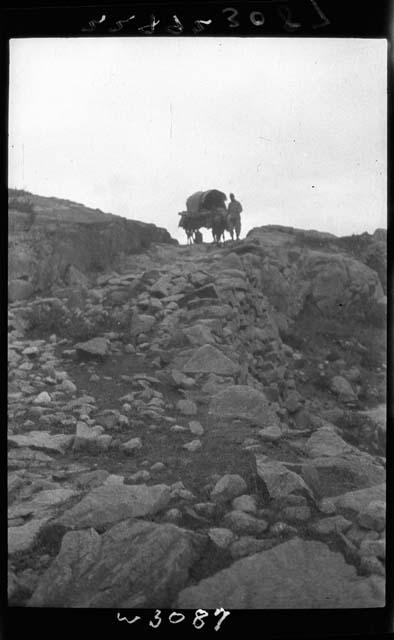 Person with wagon, standing at top of hill