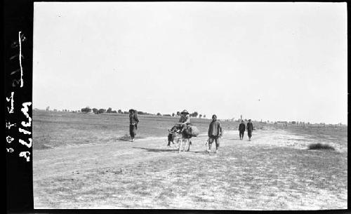 Woman riding horse down road, men walking alongside