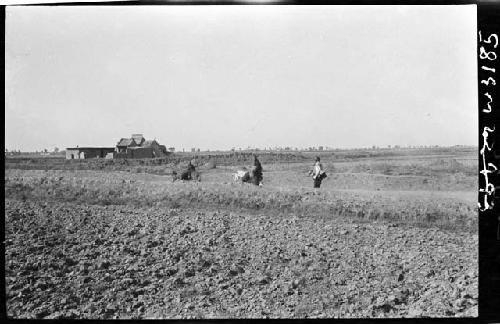 Field, with people traveling on road beyond