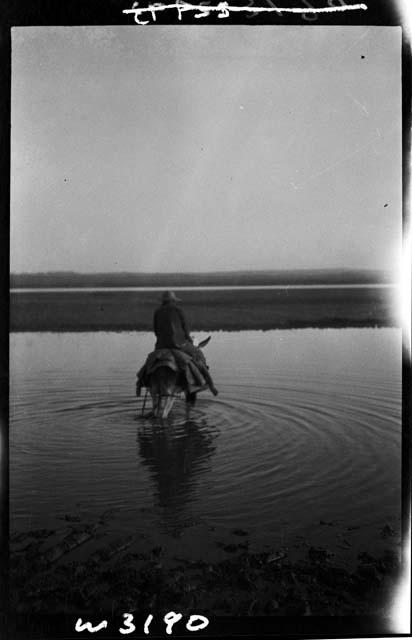 Person on horse, wading out in water