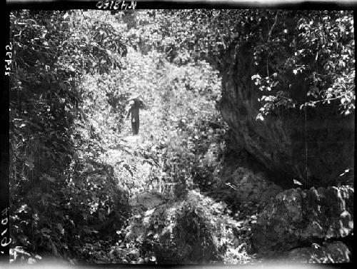 Person walking down wooded path