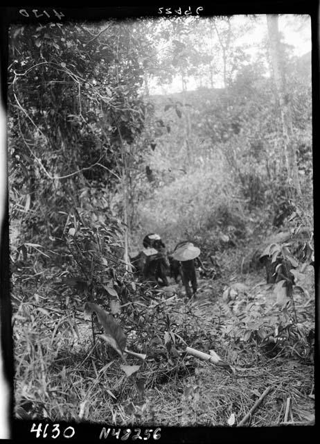 People carrying cargo walk along path