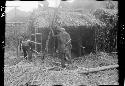 Workers building hut