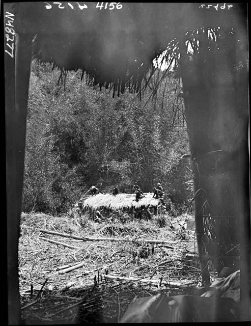 Workers building hut