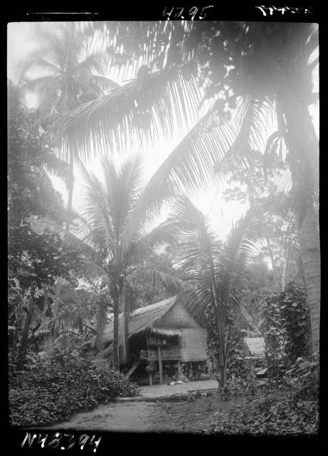 Building set amid foliage