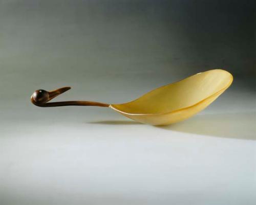 Horn spoon