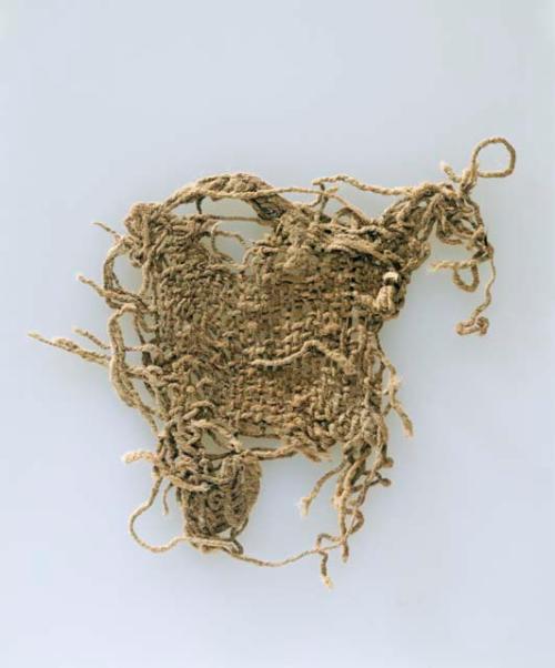 Organic, woven fiber textile fragment