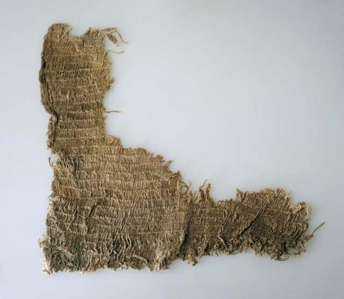 Organic, large woven fiber textile fragment