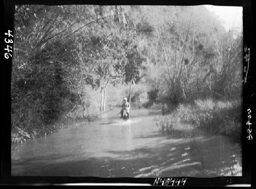 Person traveling through river on animal