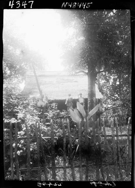 People standing beyond fence