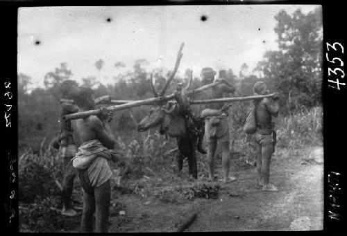 Men carry animal head on sticks