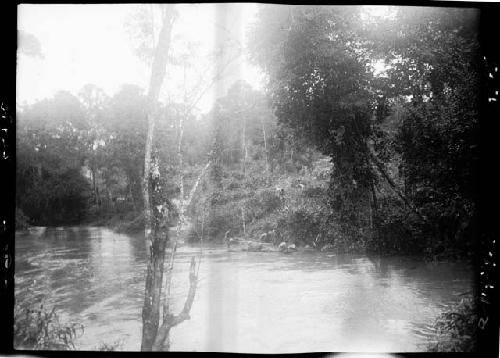 River landscape