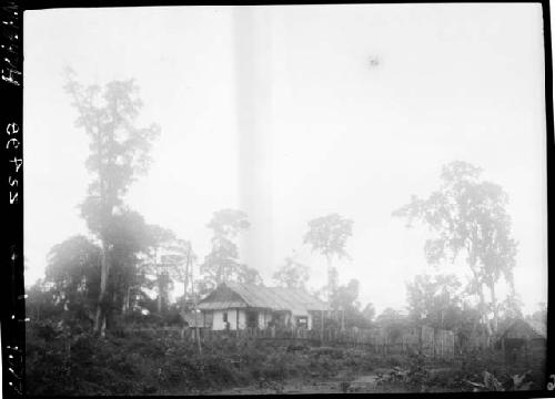 Buildings and trees