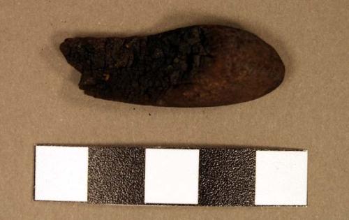 Wood fragment, charred