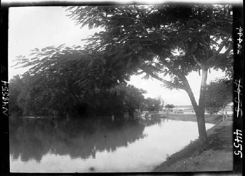 Landscape with river and trees