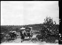 Wagon traveling on road