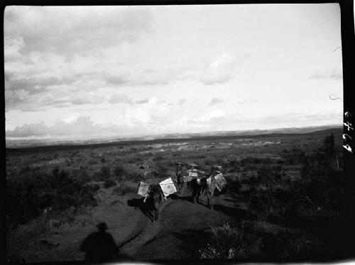 Traveling party