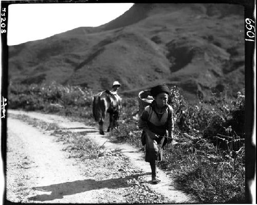 People traveling up road