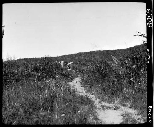 People walking on road through field