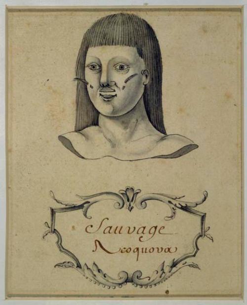 "Sauvage Iroquova"