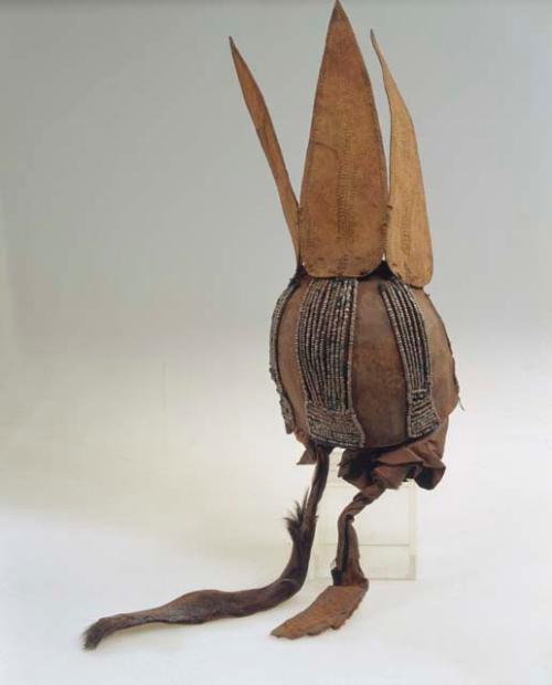 Woman's headdress made of skin, rubbed with lukolo bark and grease