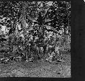 Group portrait under breadfruit tree Apia