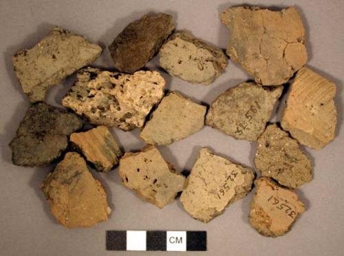 Ceramic rim & body sherds