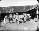 People with animals outside building