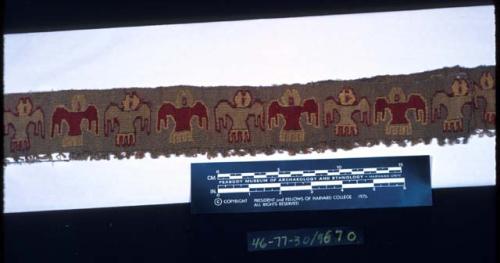 Border, slit tapestry