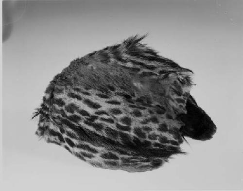 Men's hat; genet fur, sinew