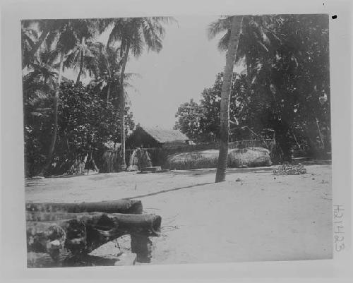 street, houses and palms; house in village
