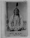 Sitting Bull