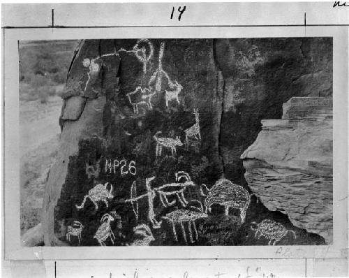 Plate 14; Petroglyphs. Nine Mile Canyon