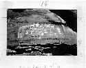 Plate 16; Petroglyphs. Cottonwood Canyon. (Nine Mile Canyon)